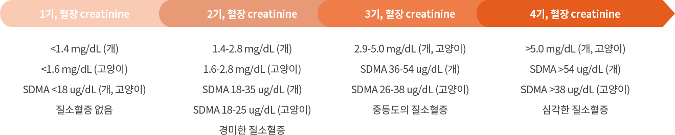 1기, 혈장 creatinine→2기, 혈장 creatinine→3기, 혈장 creatinine→4기, 혈장 creatinine
