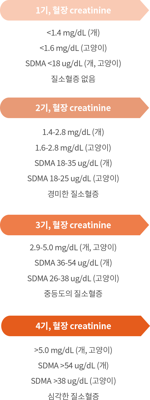 1기, 혈장 creatinine→2기, 혈장 creatinine→3기, 혈장 creatinine→4기, 혈장 creatinine